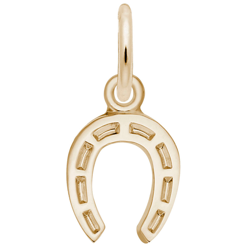 Good Luck Horseshoe Accent Charm for Gaming & Jewelry Design 5491