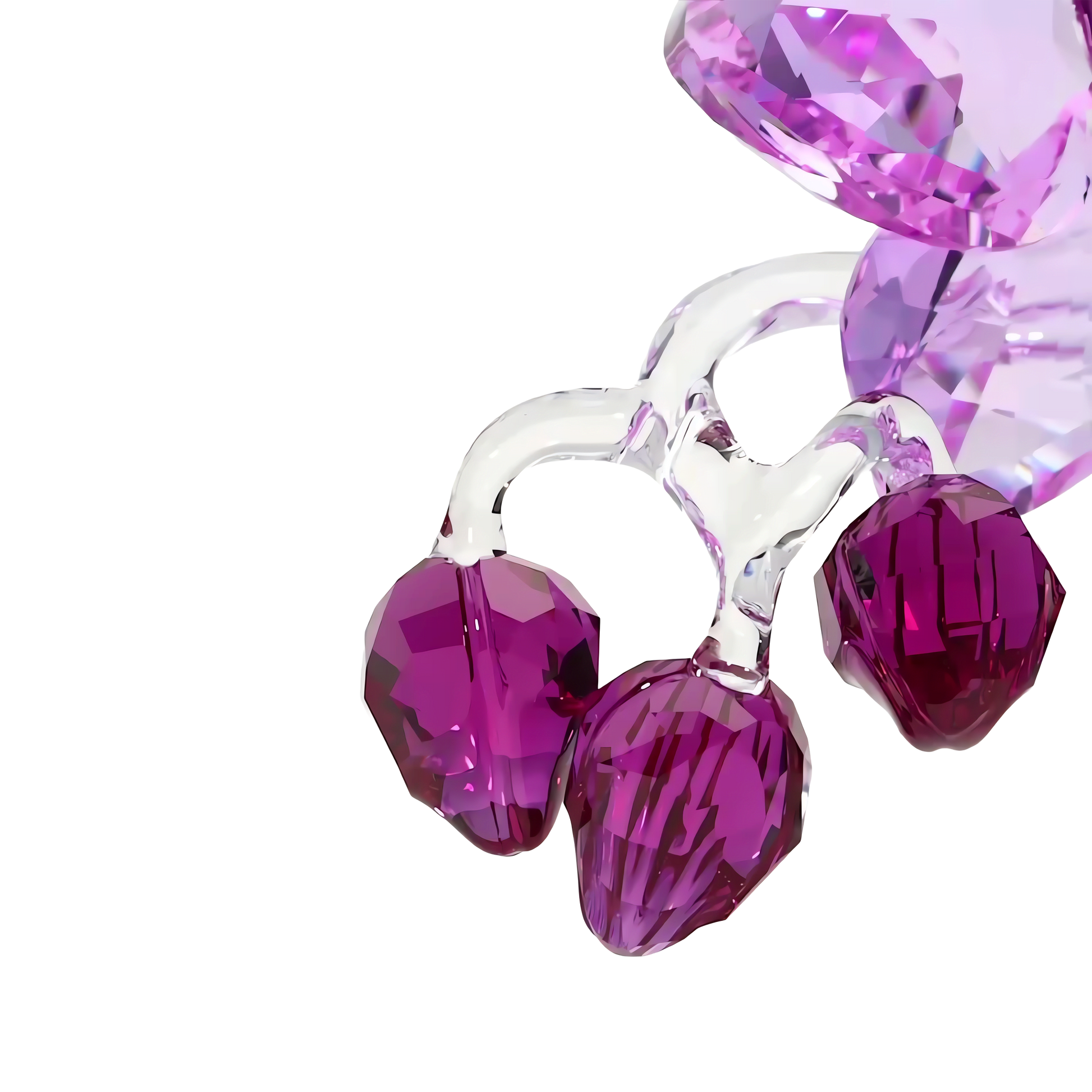Crystal Flowers Orchid