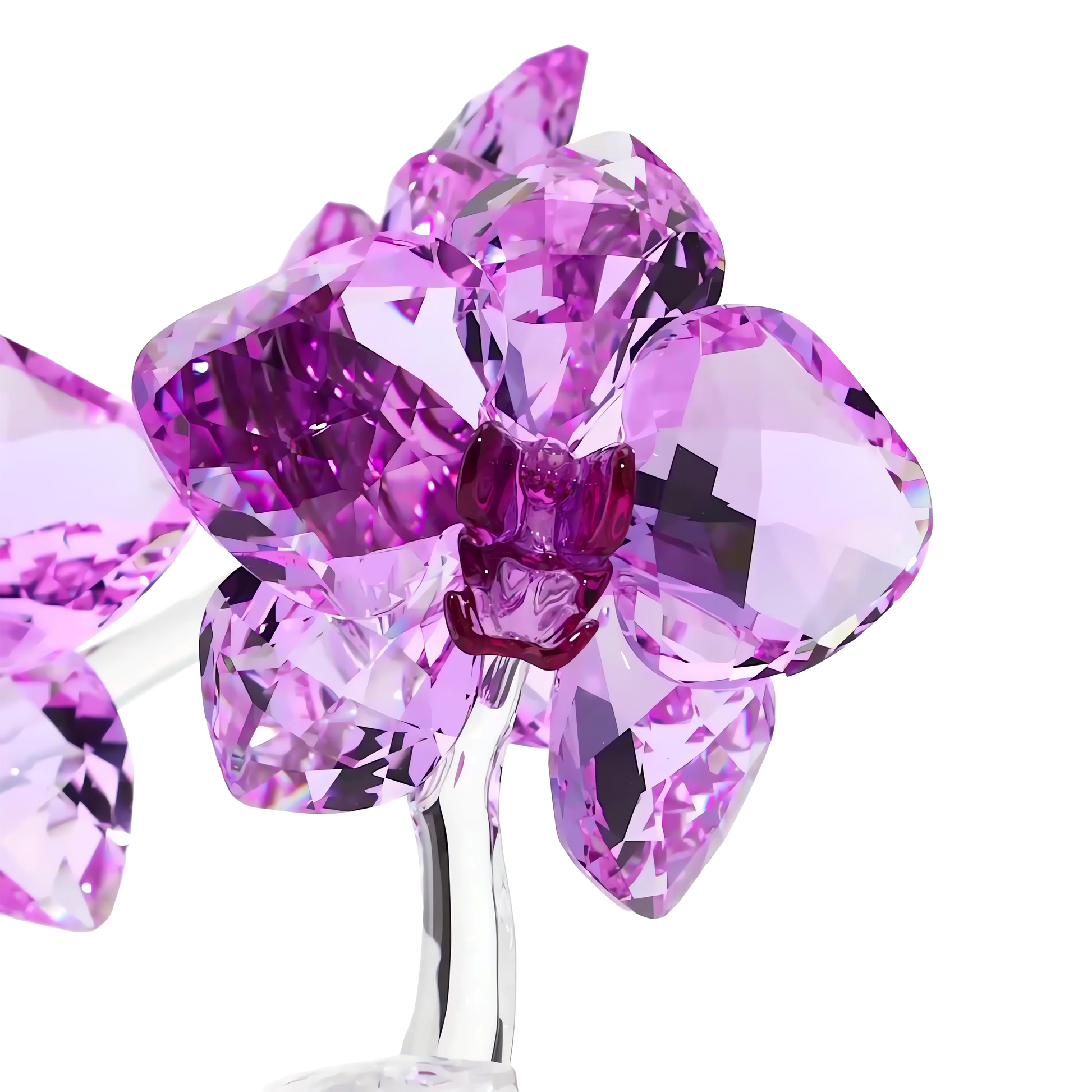 Crystal Flowers Orchid