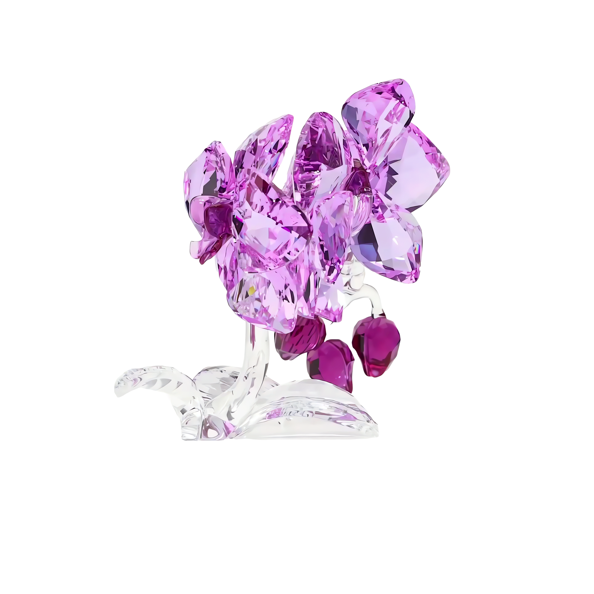 Crystal Flowers Orchid