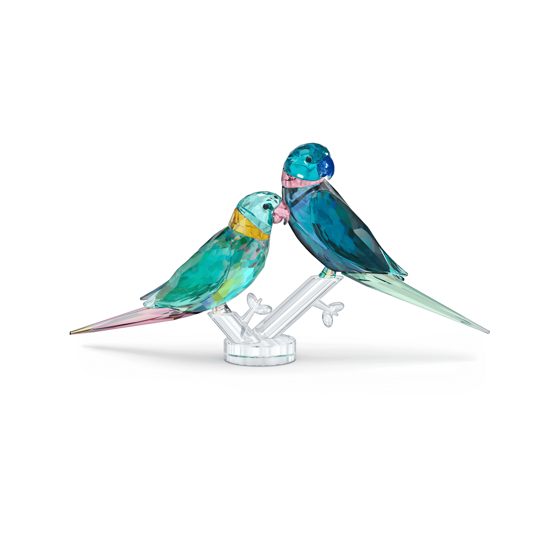 Jungle Beats Parakeet Couple Fife & Fifer