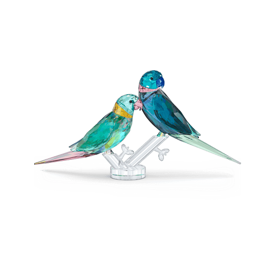 Jungle Beats Parakeet Couple Fife & Fifer