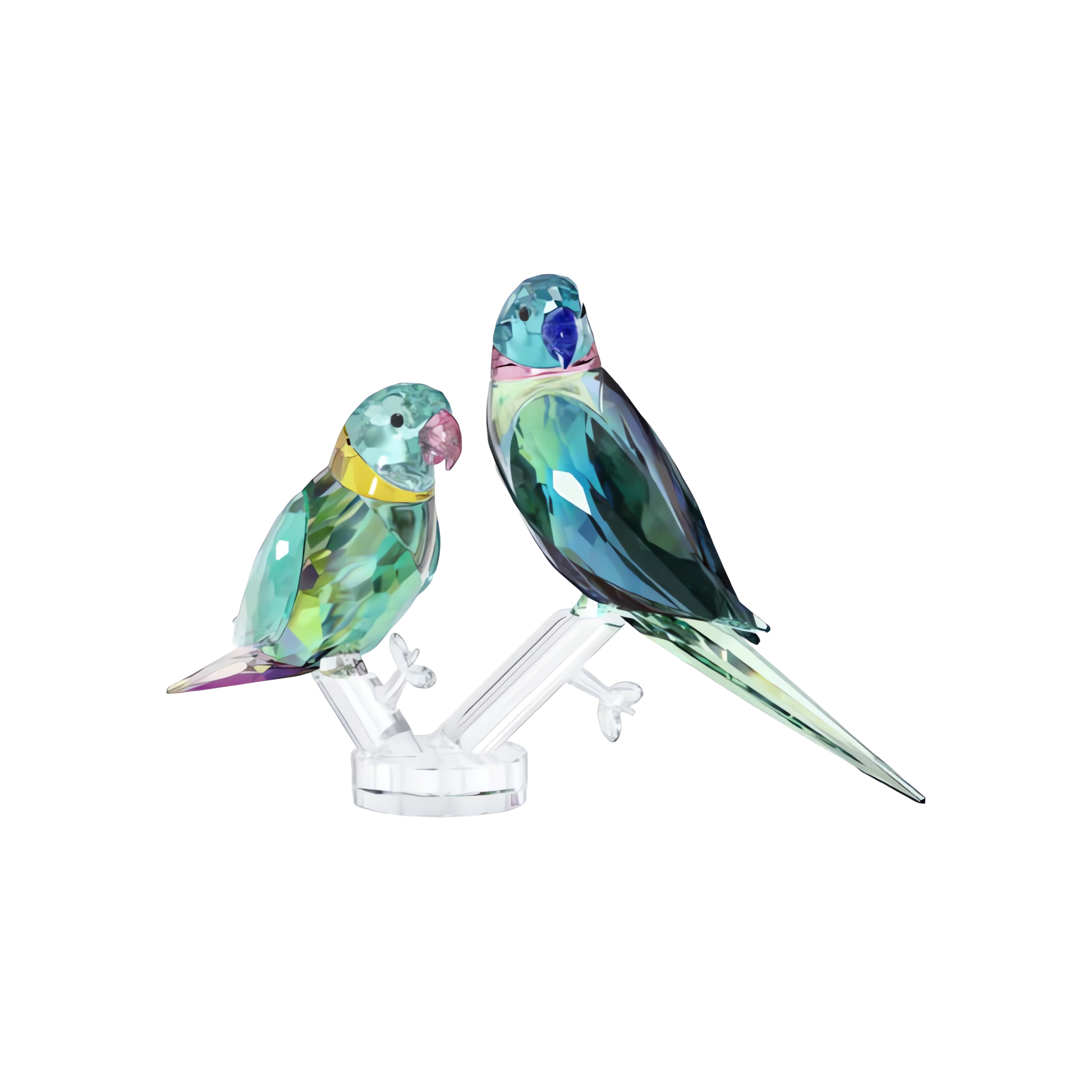 Jungle Beats Parakeet Couple Fife & Fifer