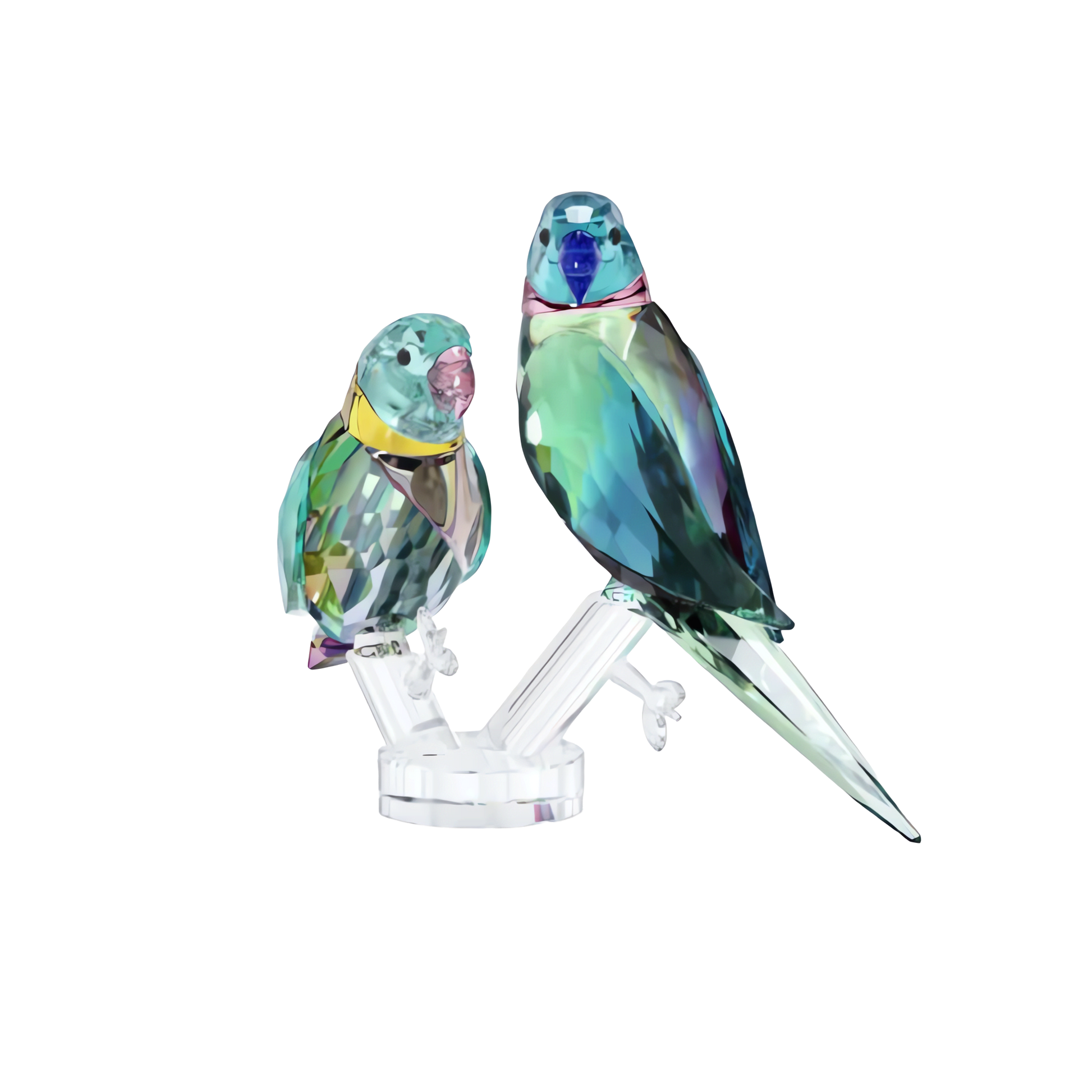 Jungle Beats Parakeet Couple Fife & Fifer
