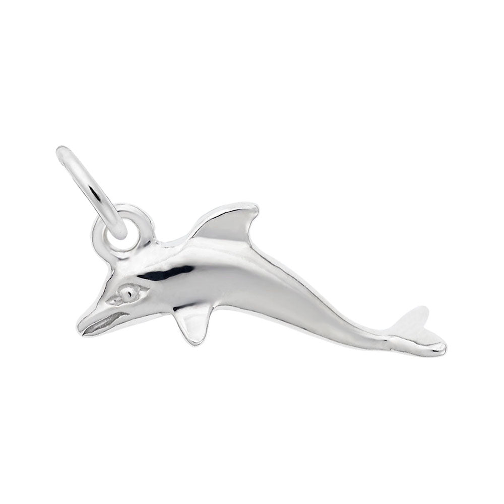 Charming Dolphin Accent Charm for Nautical Jewelry Lovers 5585