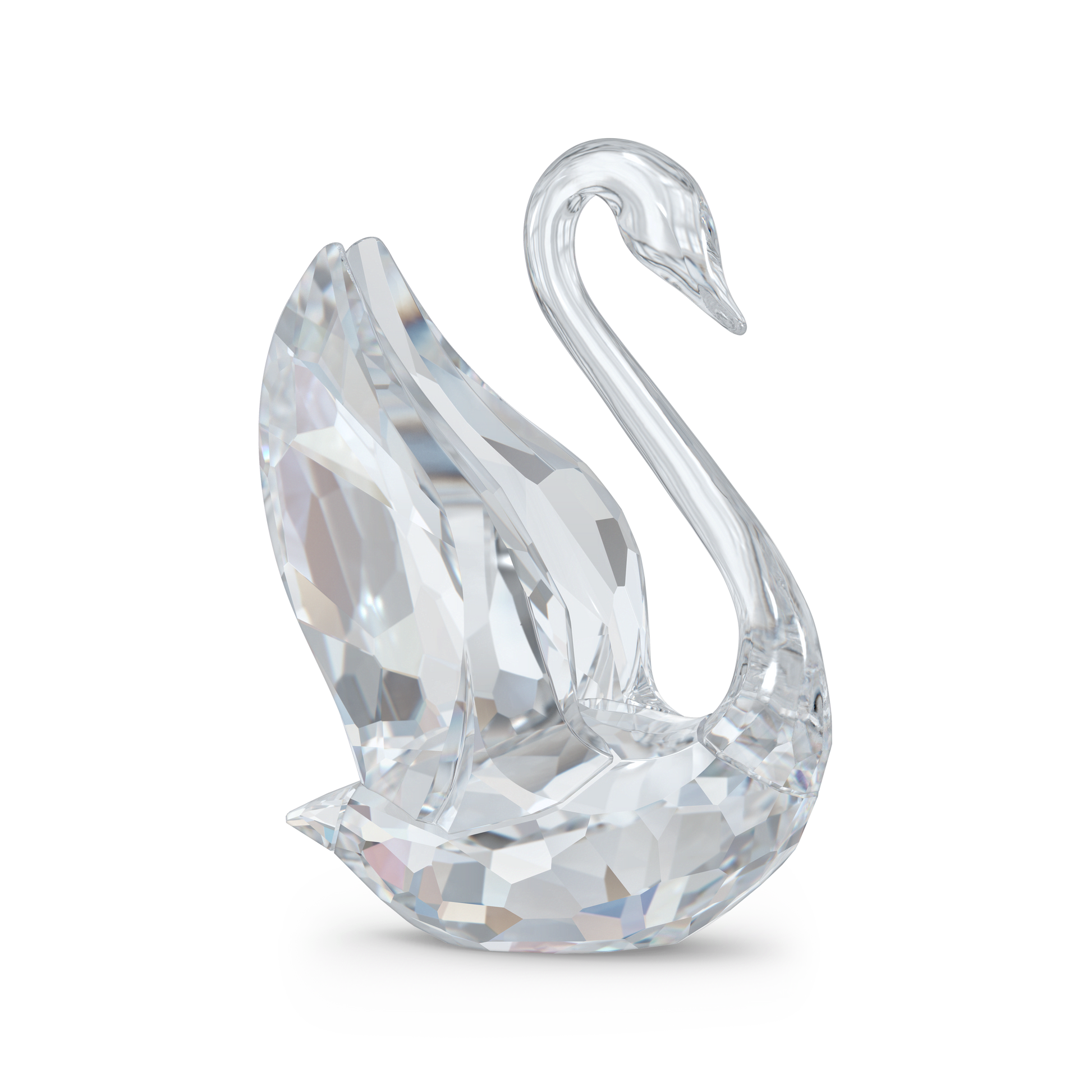 Signum Swan, Small