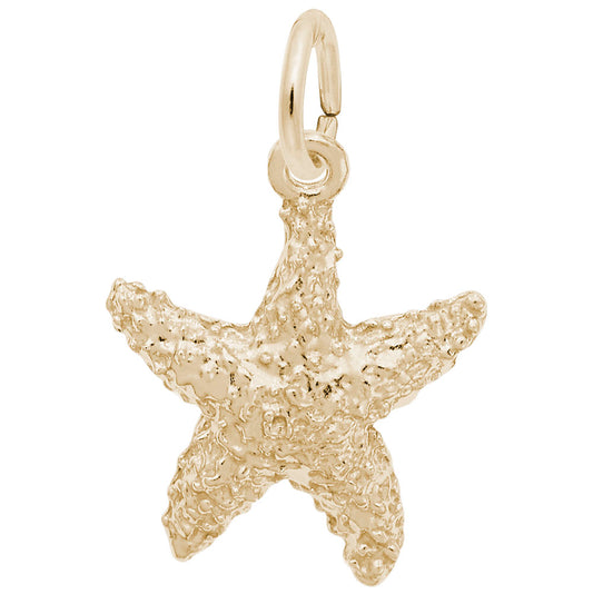 Sea Star Charm - Nautical Jewelry for Ocean Lovers & Collectors 5619