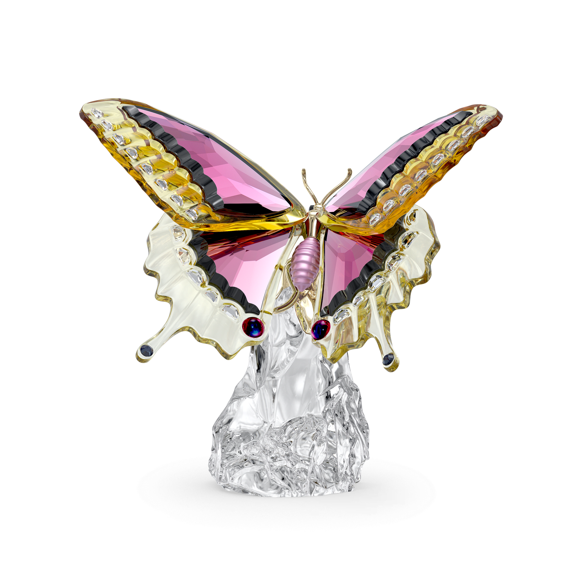 Idyllia Butterfly