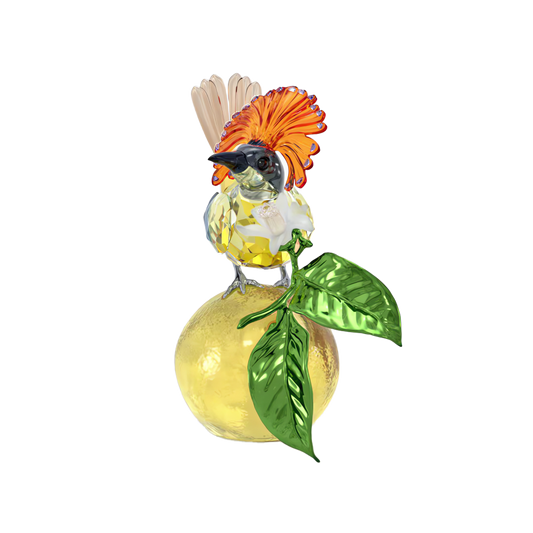 Idyllia Royal Flycatcher