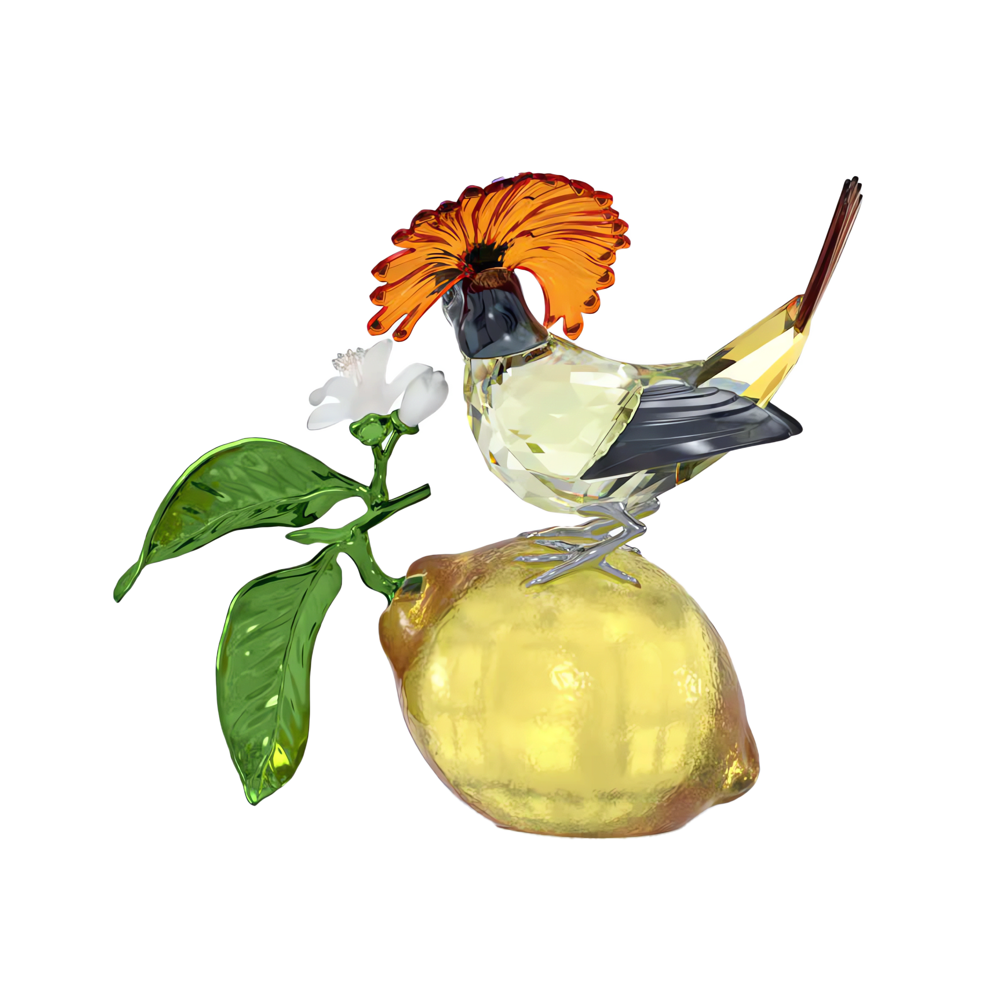 Idyllia Royal Flycatcher