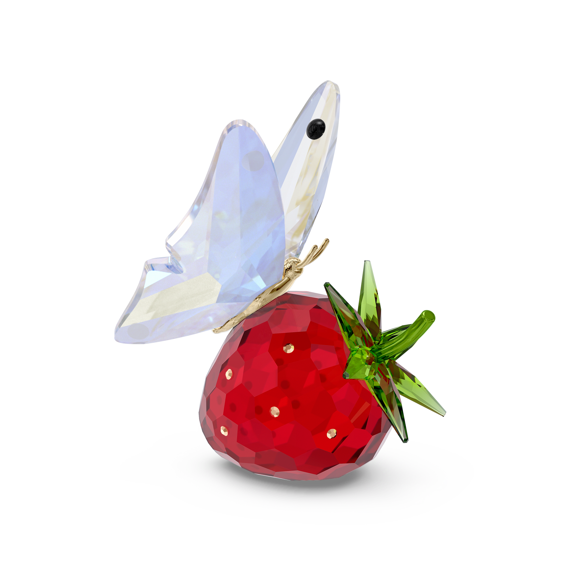Idyllia Butterfly and Strawberry
