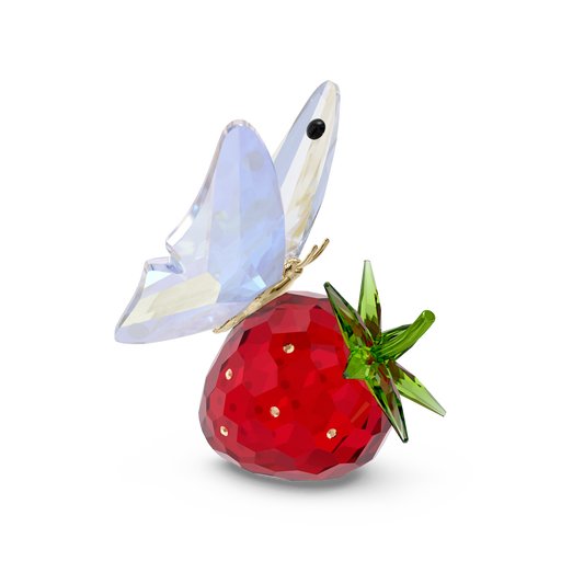 Idyllia Butterfly and Strawberry