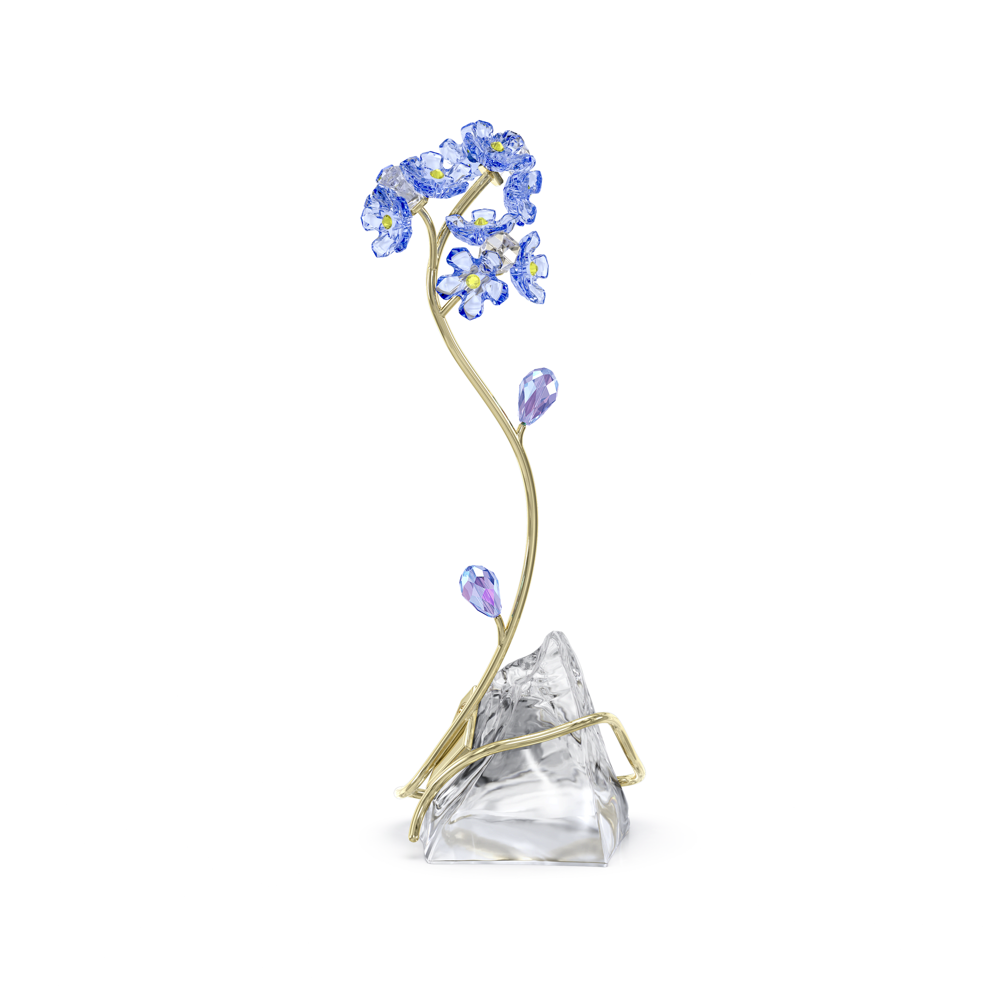 Florere Forget-me-not