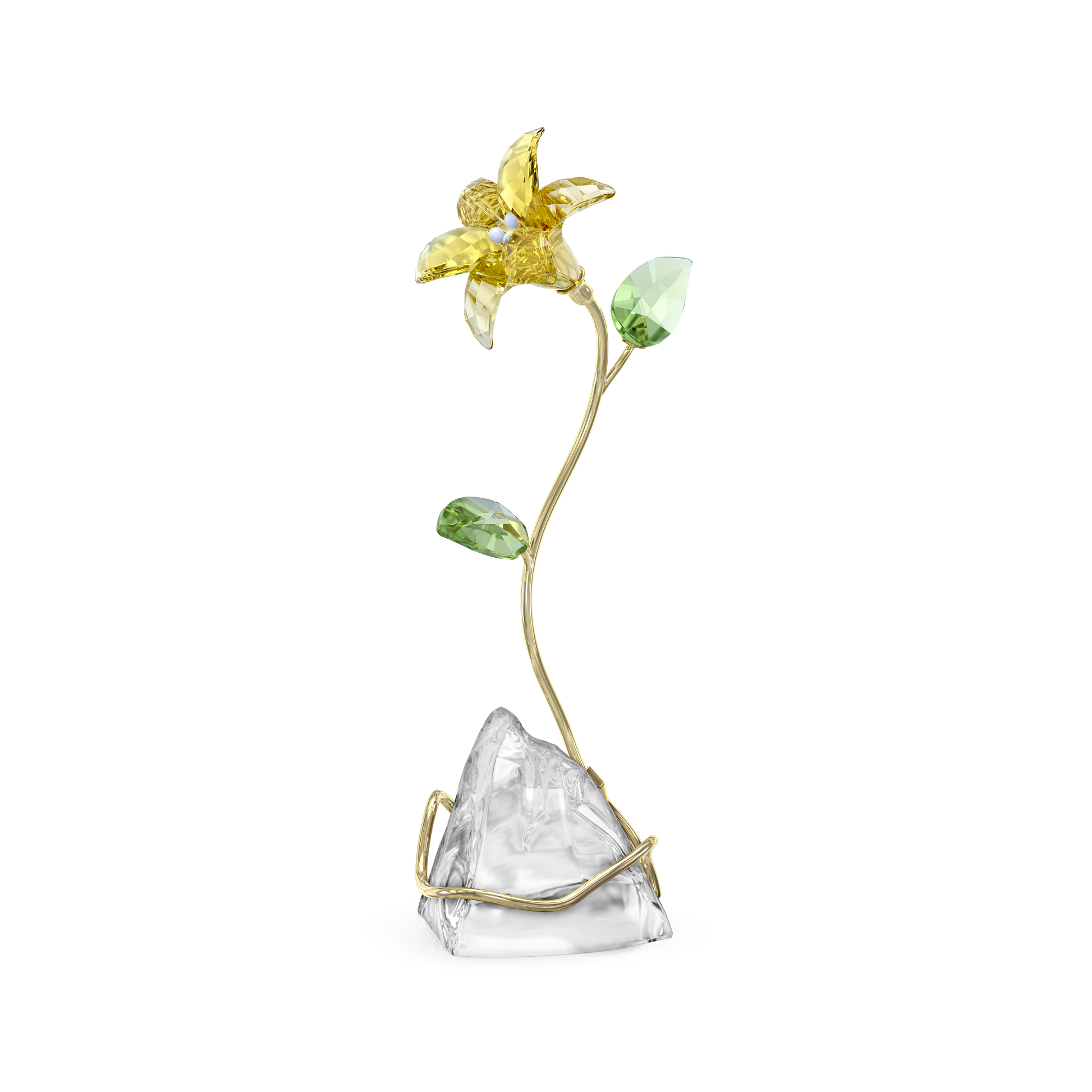 Florere Lily