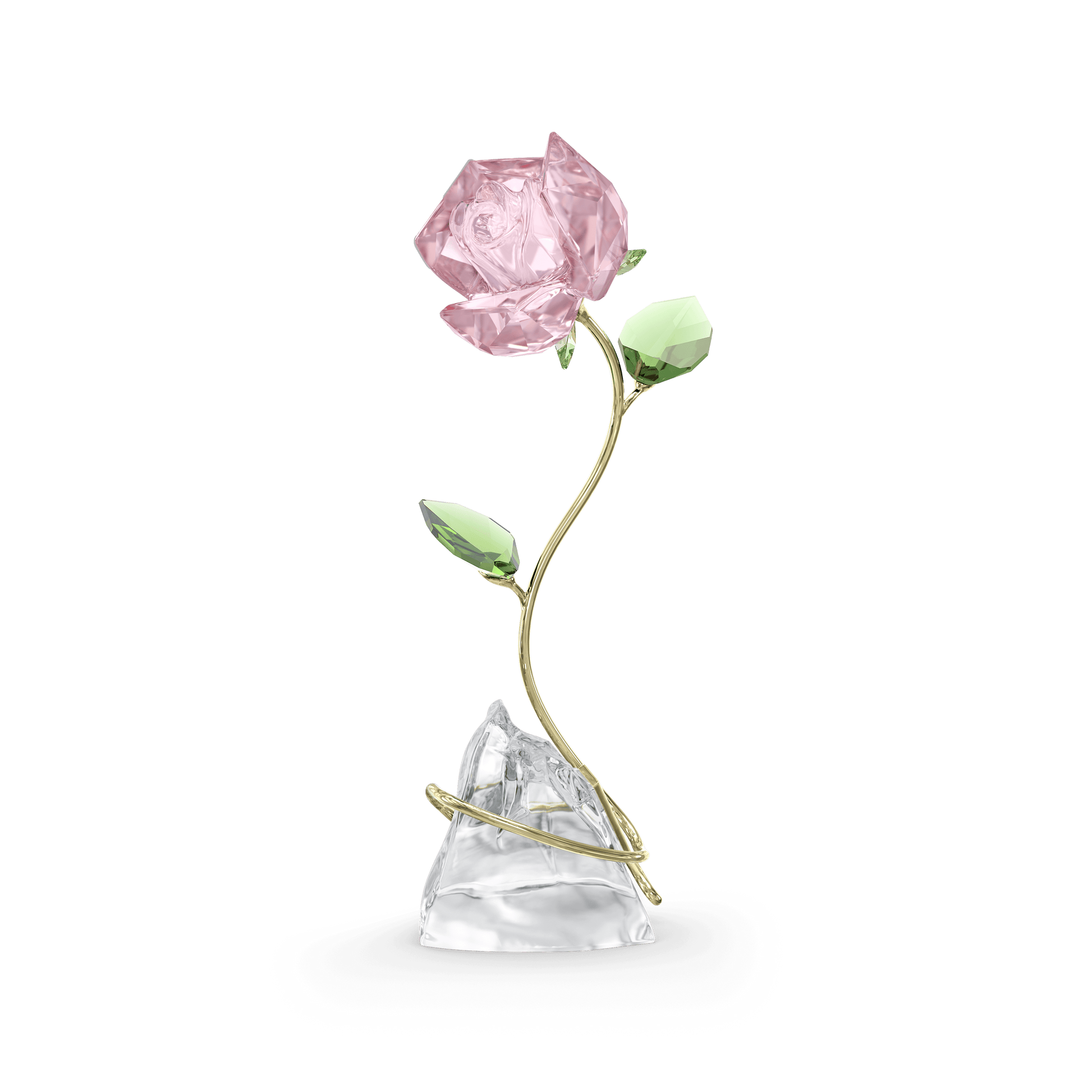 Florere Rose