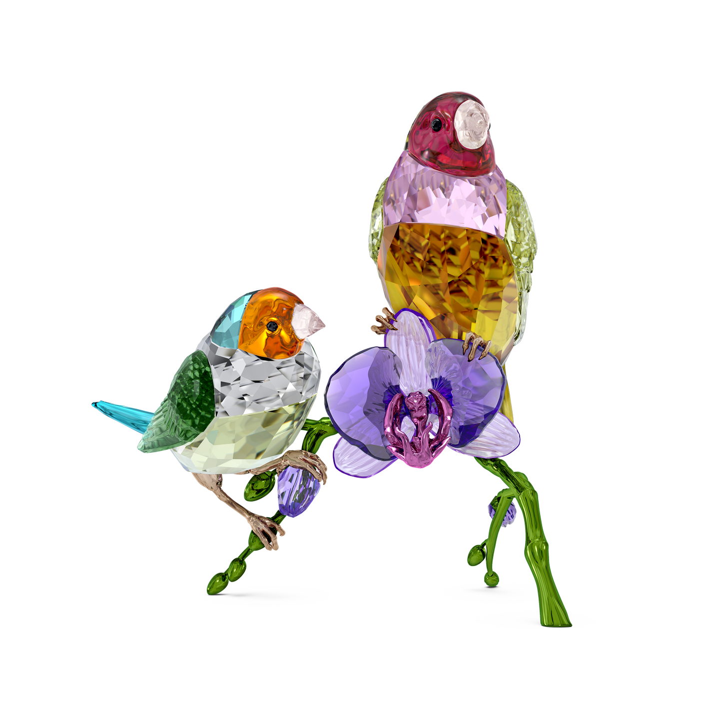 Swarovski Idyllia SCS Annual Edition 2024 Gouldian Finches