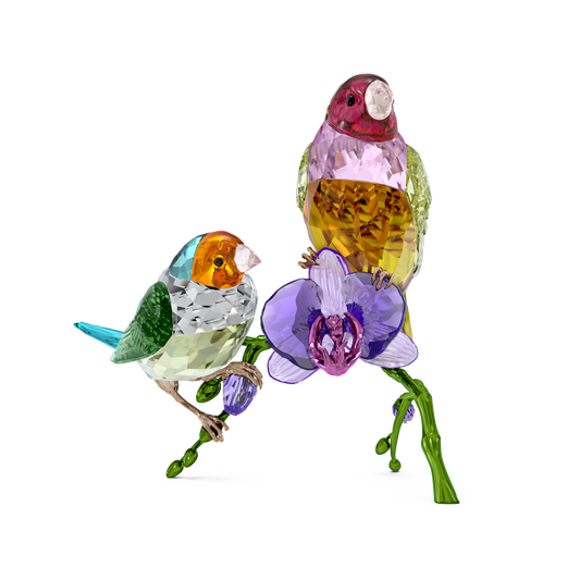 Swarovski Idyllia SCS Annual Edition 2024 Gouldian Finches