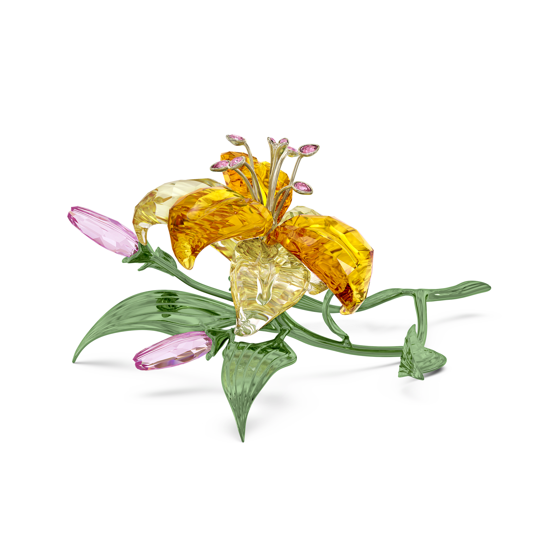 Florere Lily, Large