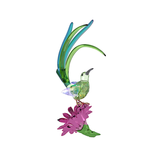 Idyllia Sugarbird and Cactus Flower