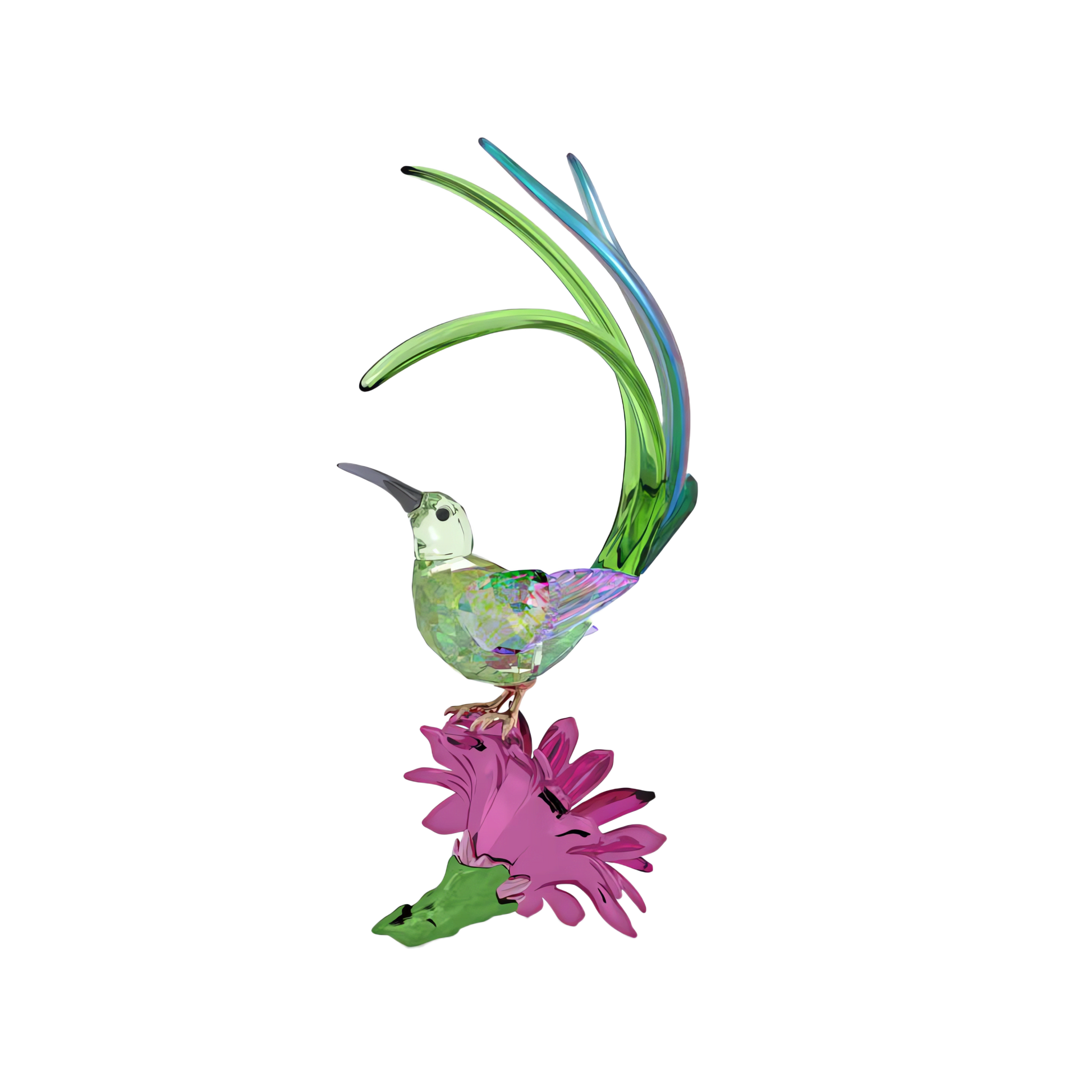 Idyllia Sugarbird and Cactus Flower