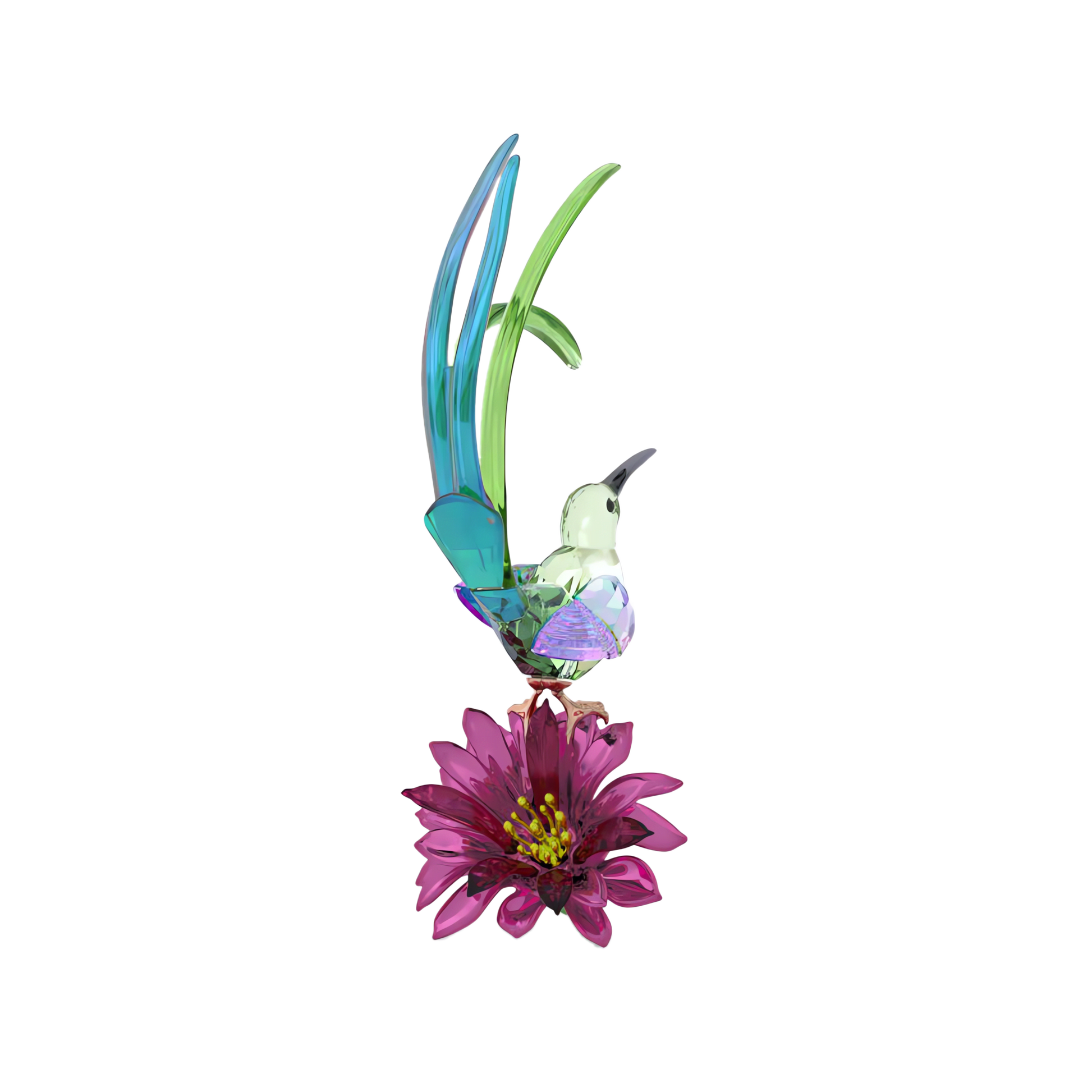 Idyllia Sugarbird and Cactus Flower