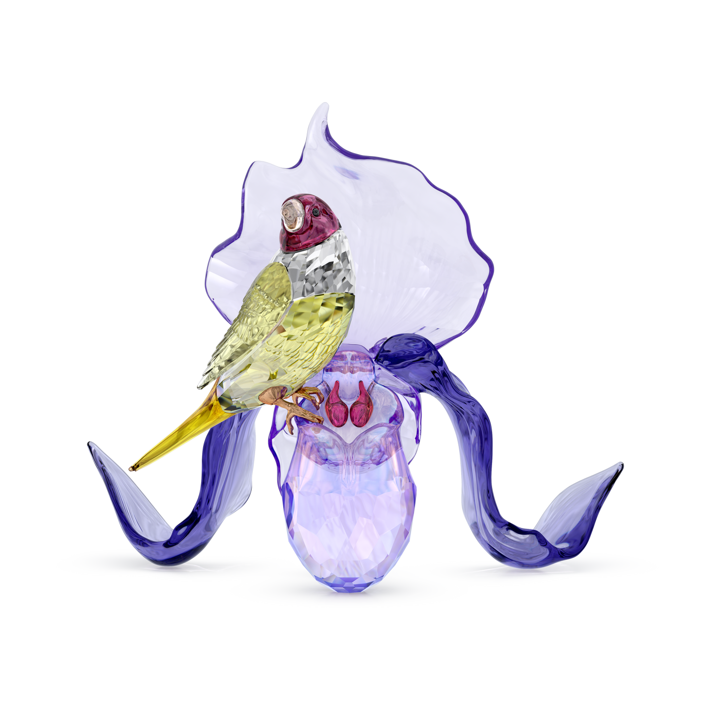 Swarovski Idyllia Gouldian Finch and Orchid