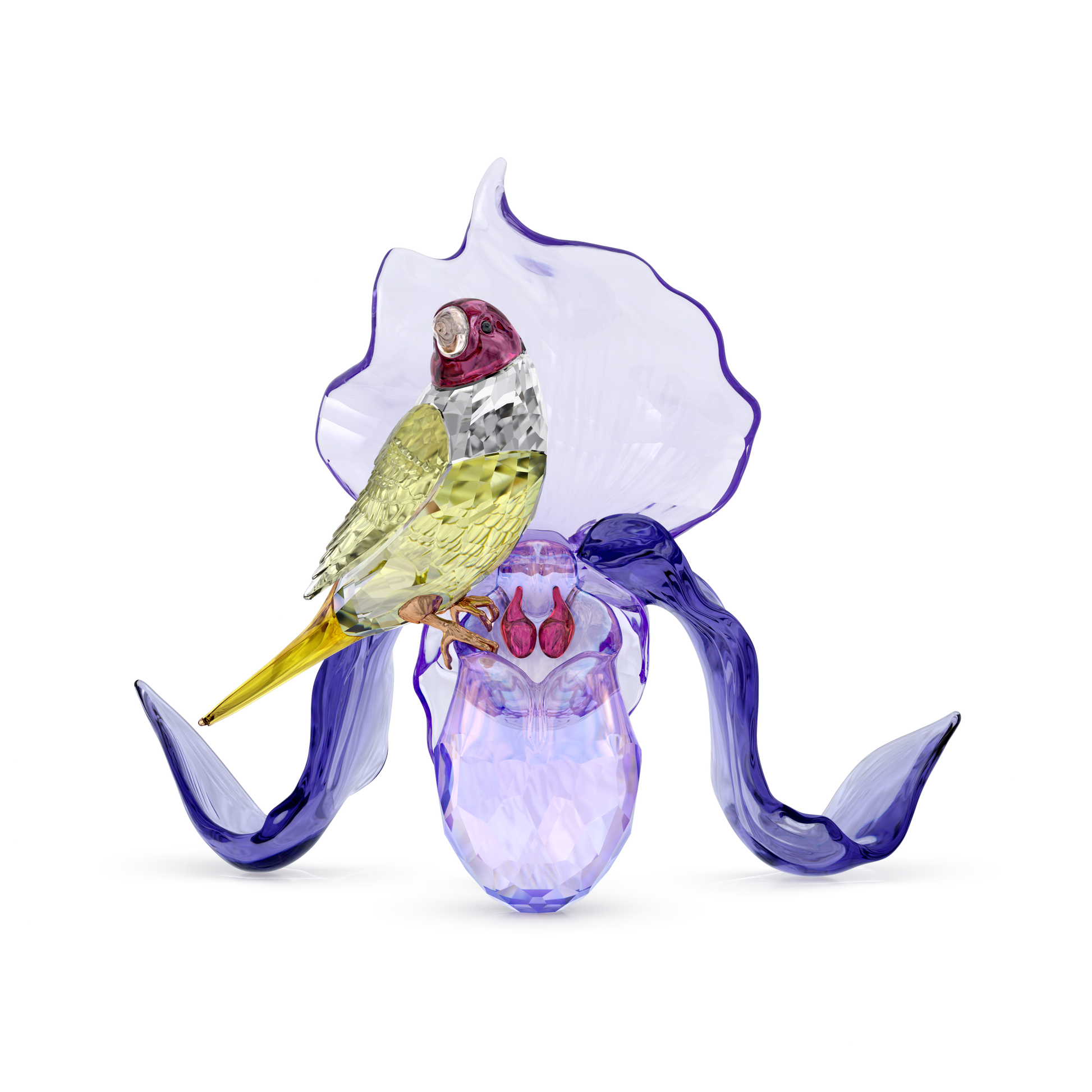 Idyllia Gouldian Finch and Orchid