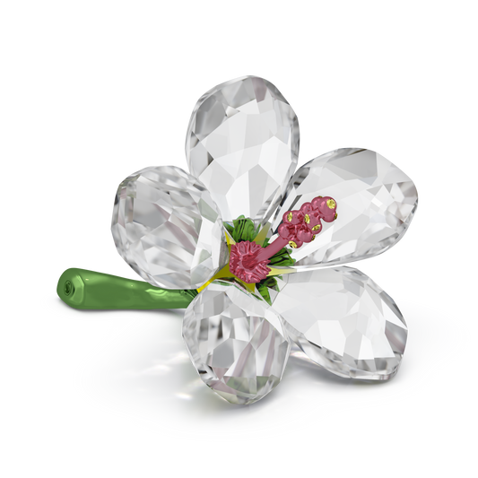 Swarovski Florere Hibiscus, Small