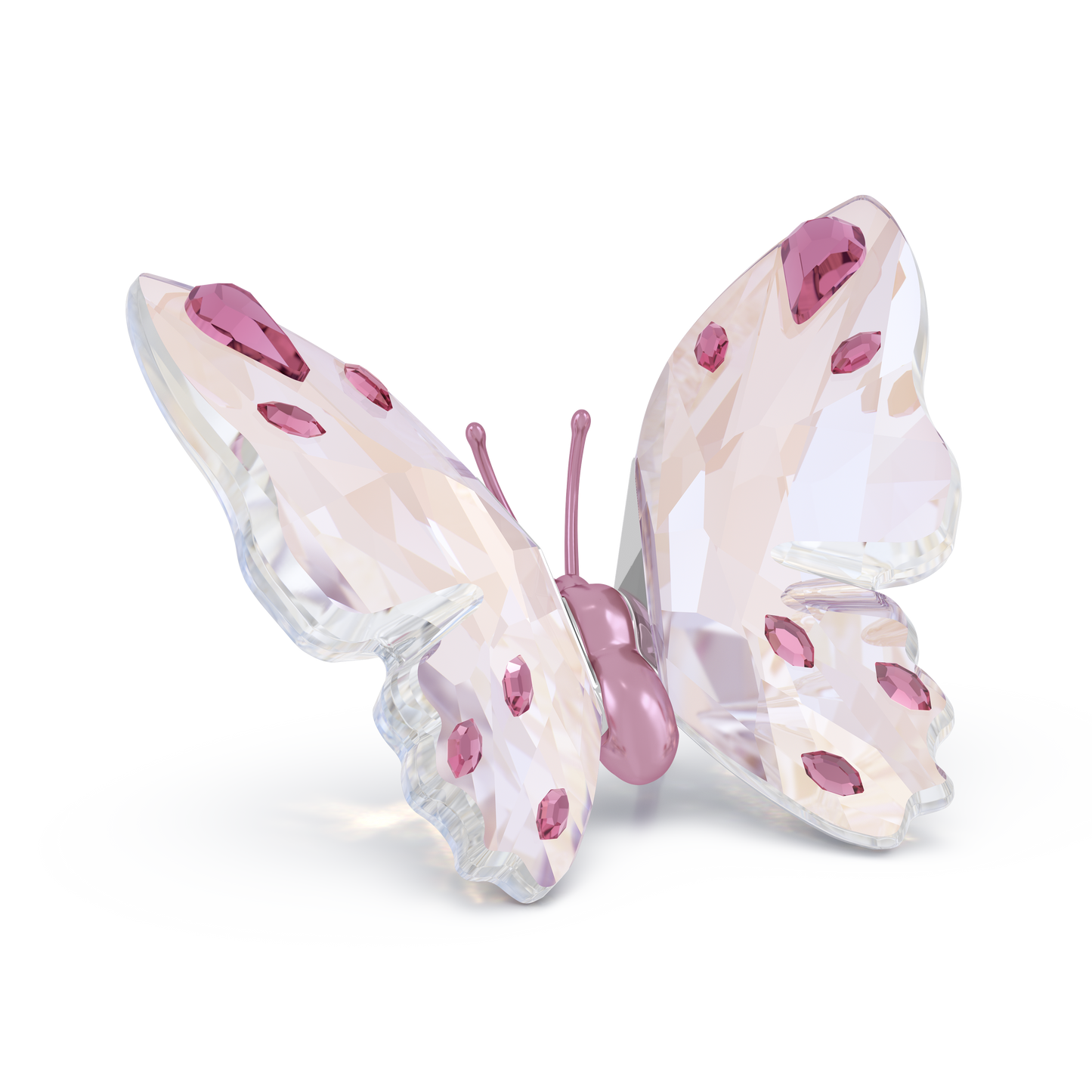 Swarovski Idyllia Butterfly, Small