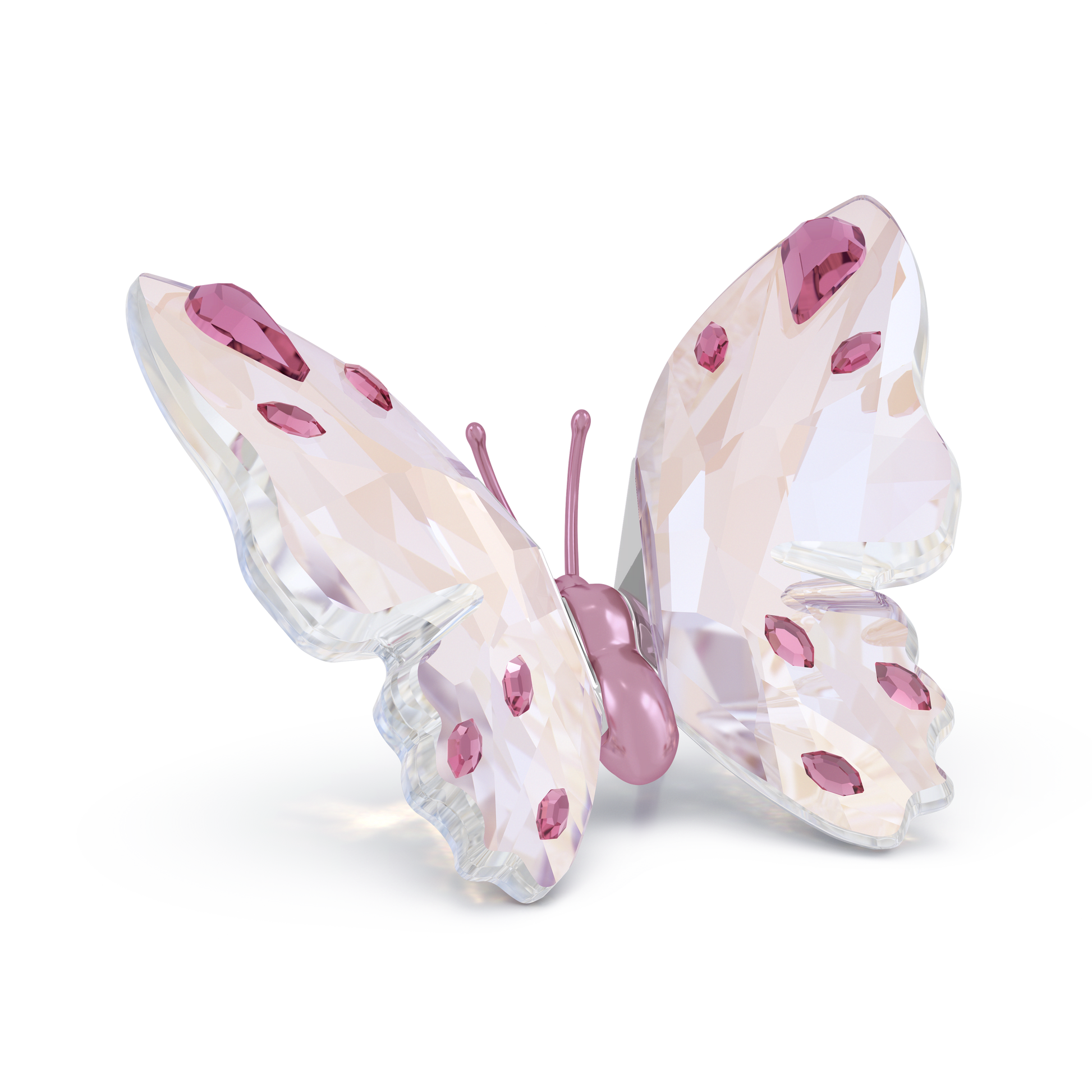 Idyllia Butterfly, Small