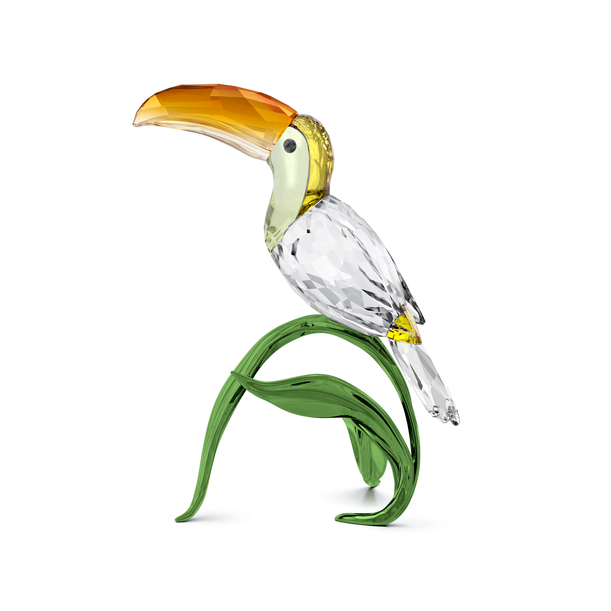 Idyllia Toucan