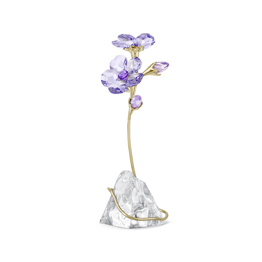 Swarovski Florere Rozanne
