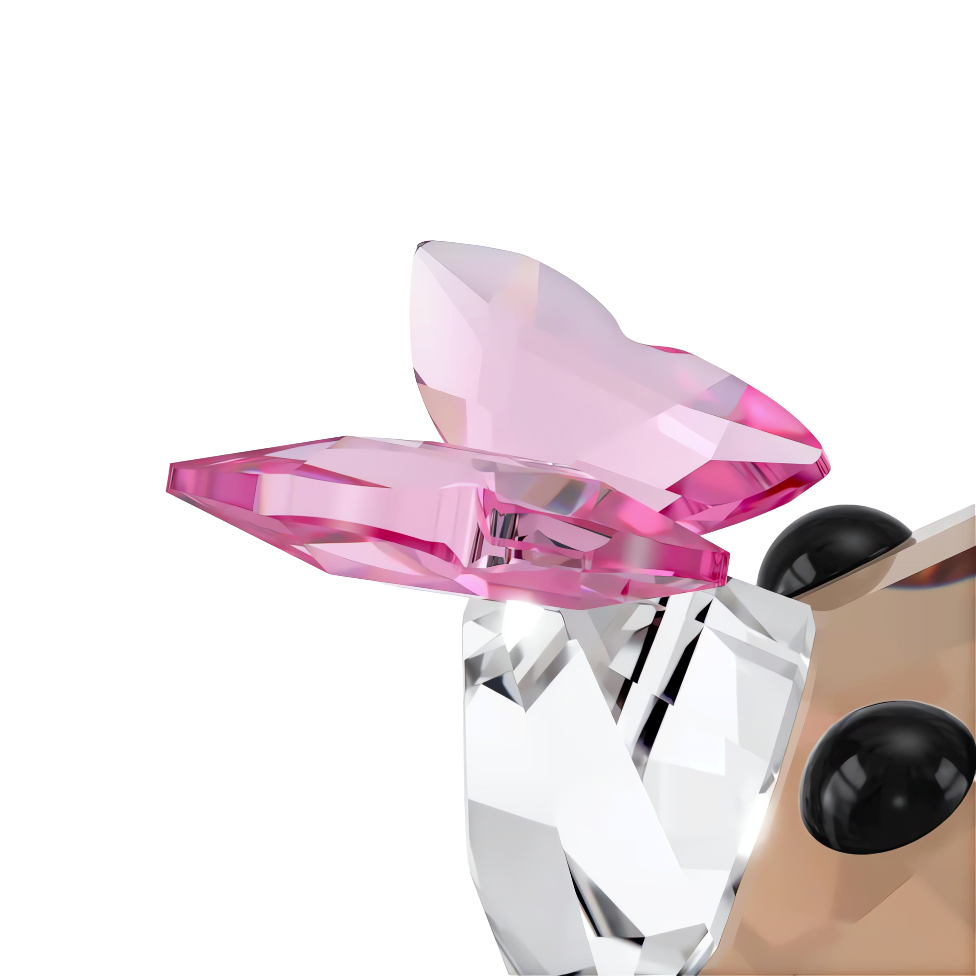 Idyllia Fox and Butterfly