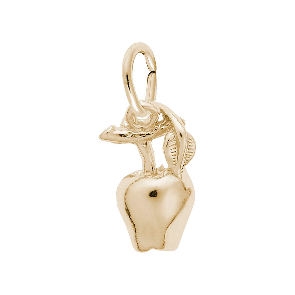 Fall Apple Accent Charm for Bracelets - Seasonal Jewelry Delight 5704
