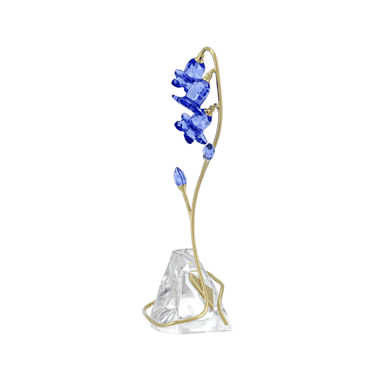 Florere Blue Bellflower