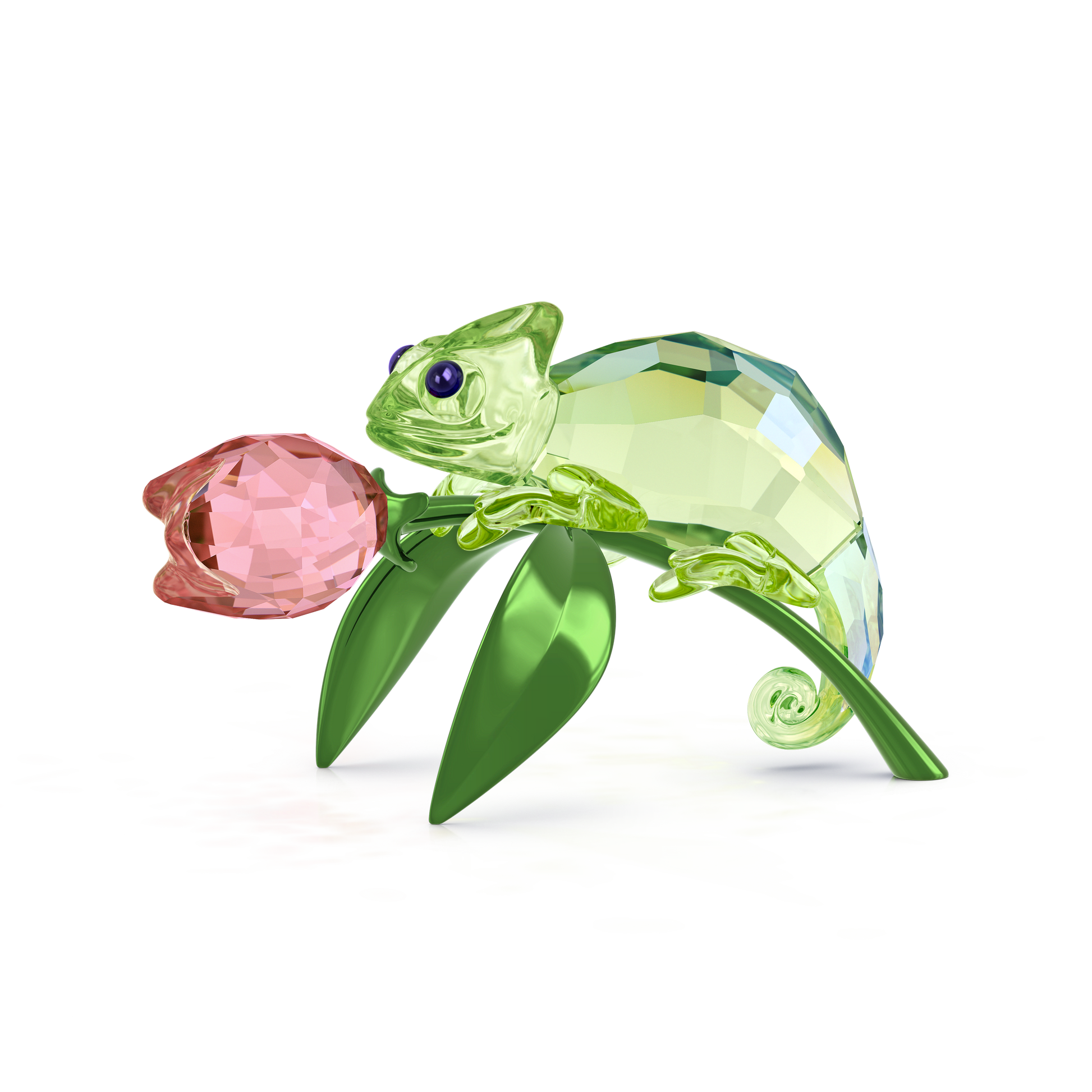 Idyllia Chameleon and Tulip