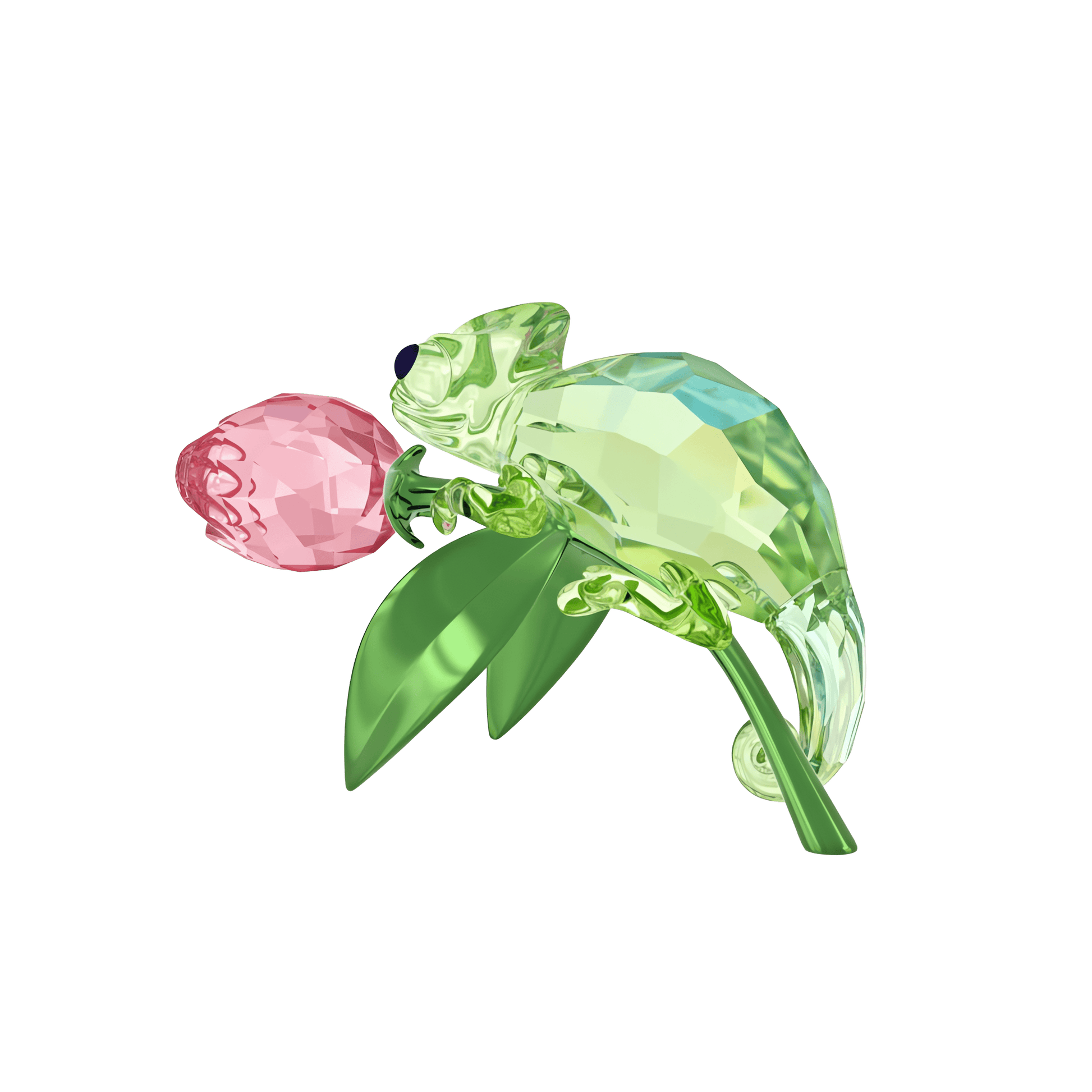 Idyllia Chameleon and Tulip