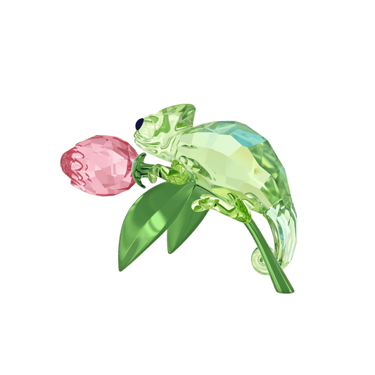 Idyllia Chameleon and Tulip