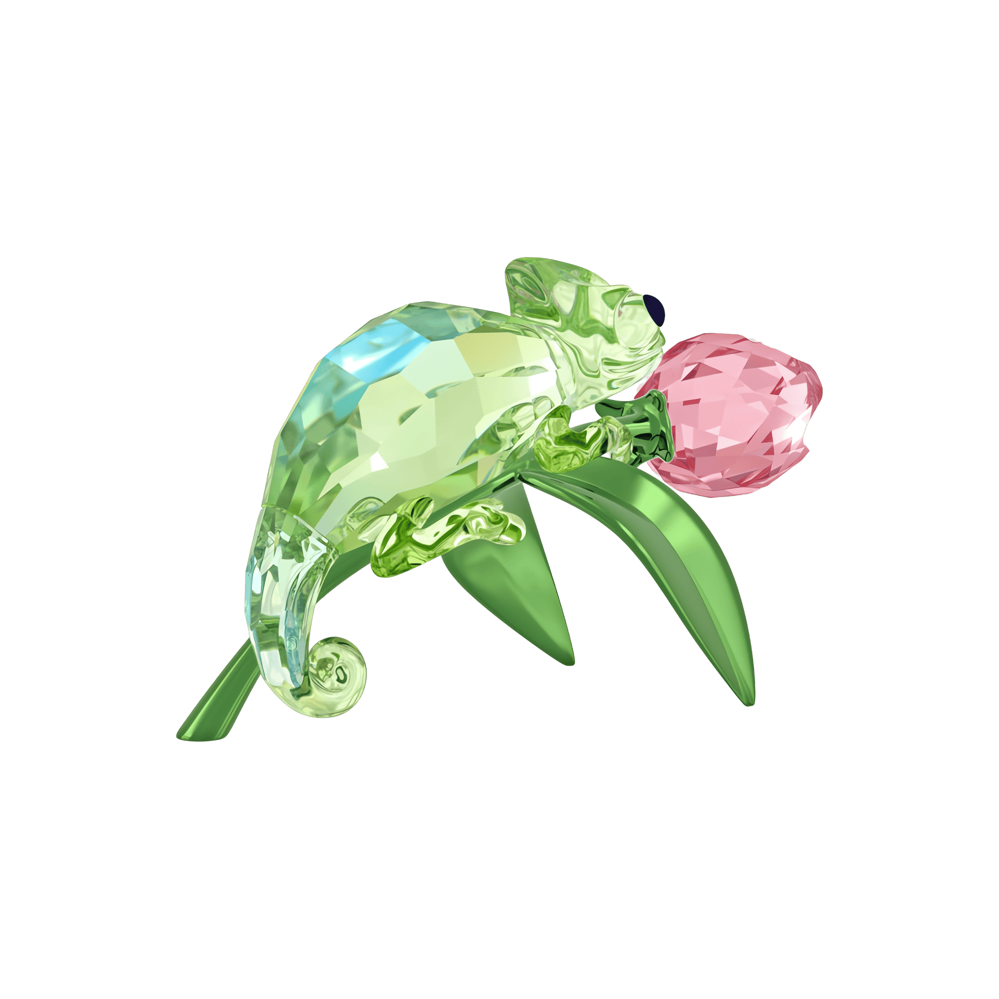 Idyllia Chameleon and Tulip