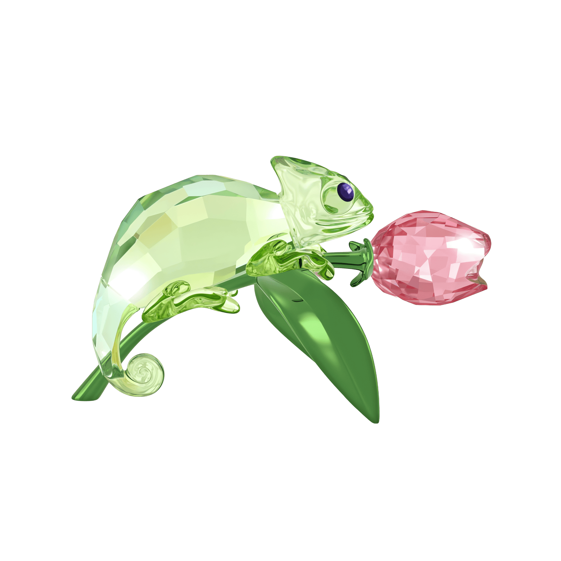 Idyllia Chameleon and Tulip