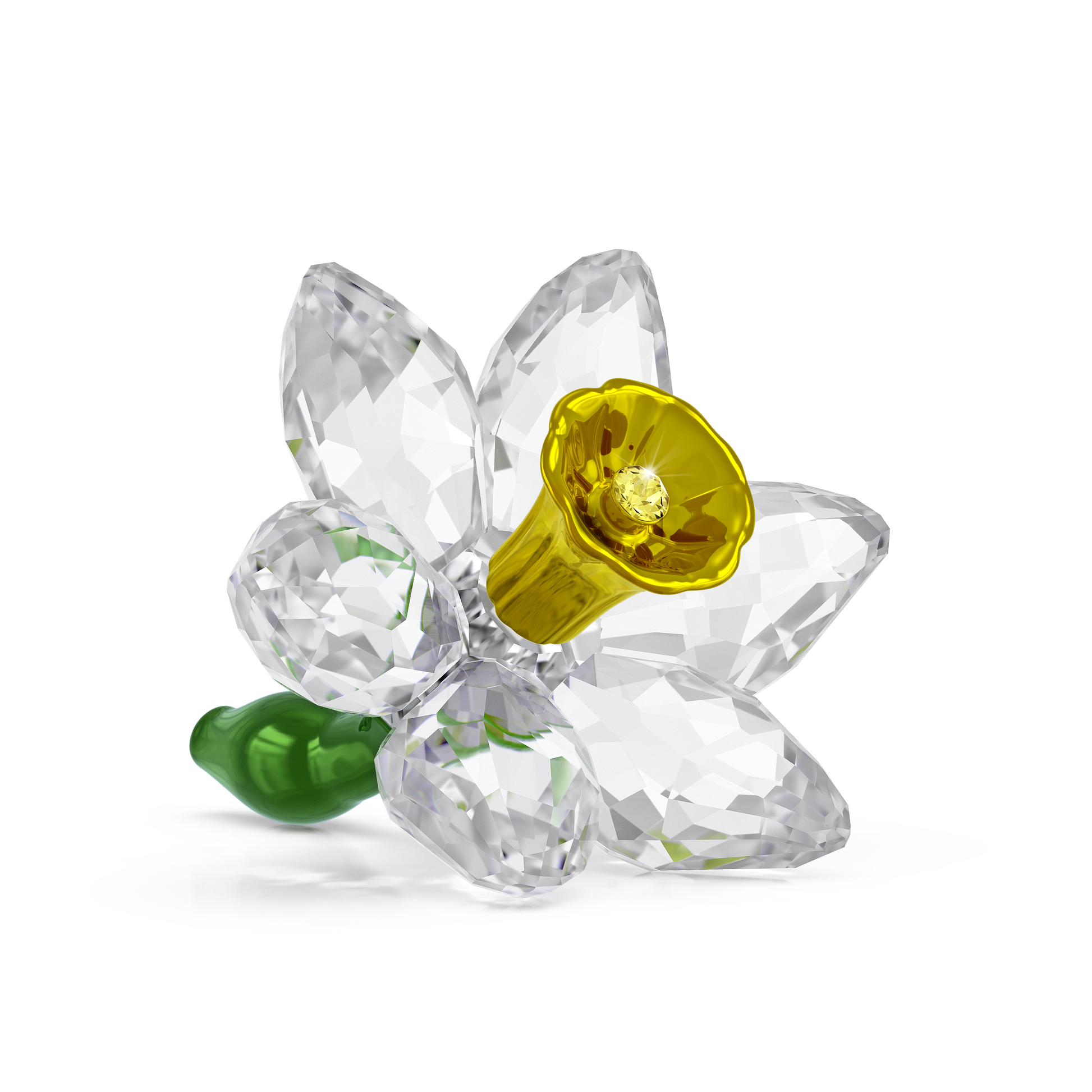 Florere Daffodil