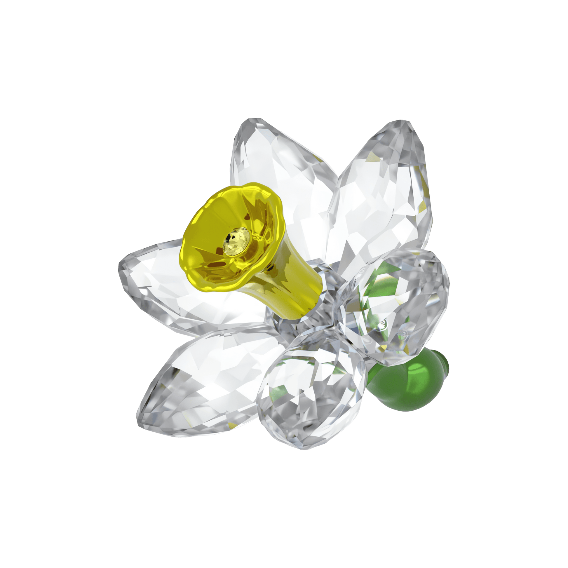 Florere Daffodil