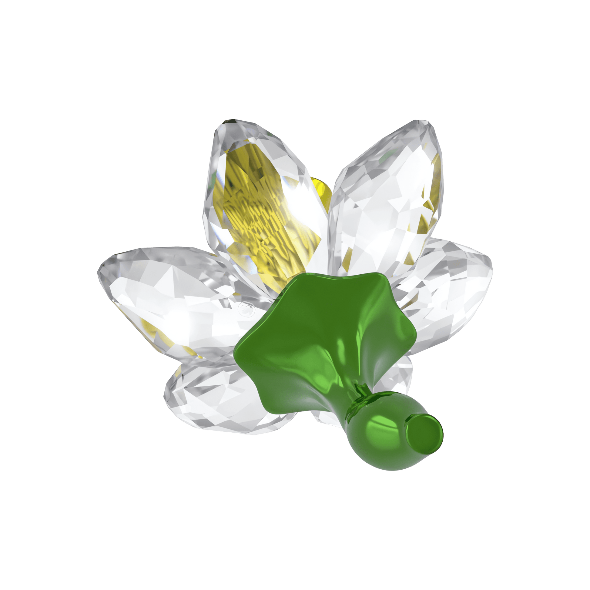 Florere Daffodil