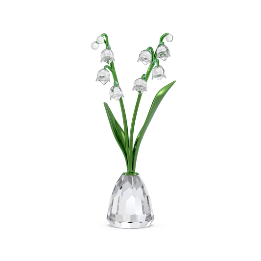 Florere Lily of the Valley