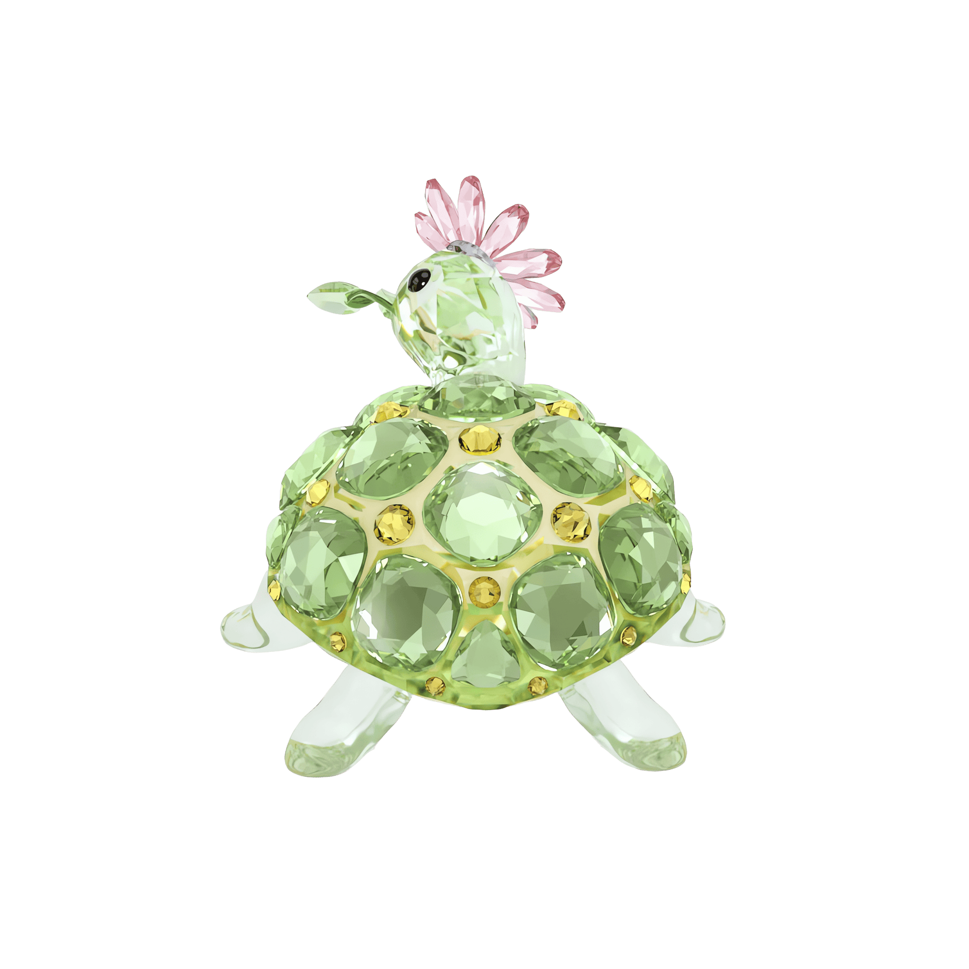 Idyllia Tortoise and Daisy