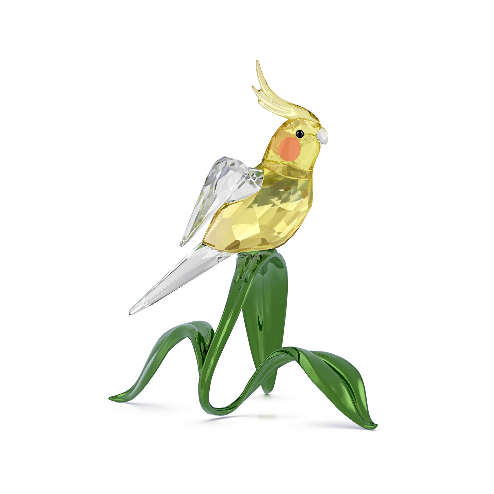Idyllia Cockatiel