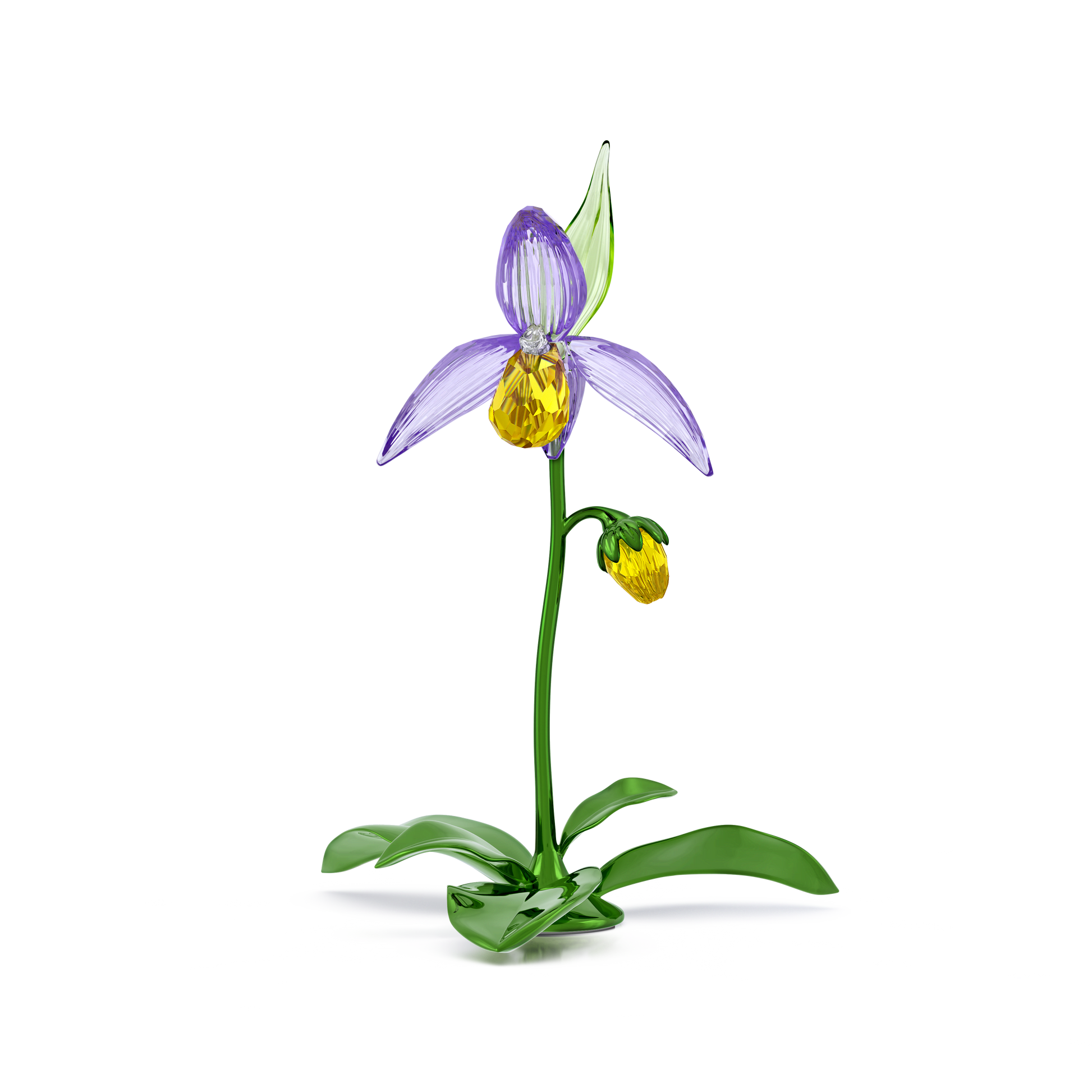 Florere Lady Slipper Orchid
