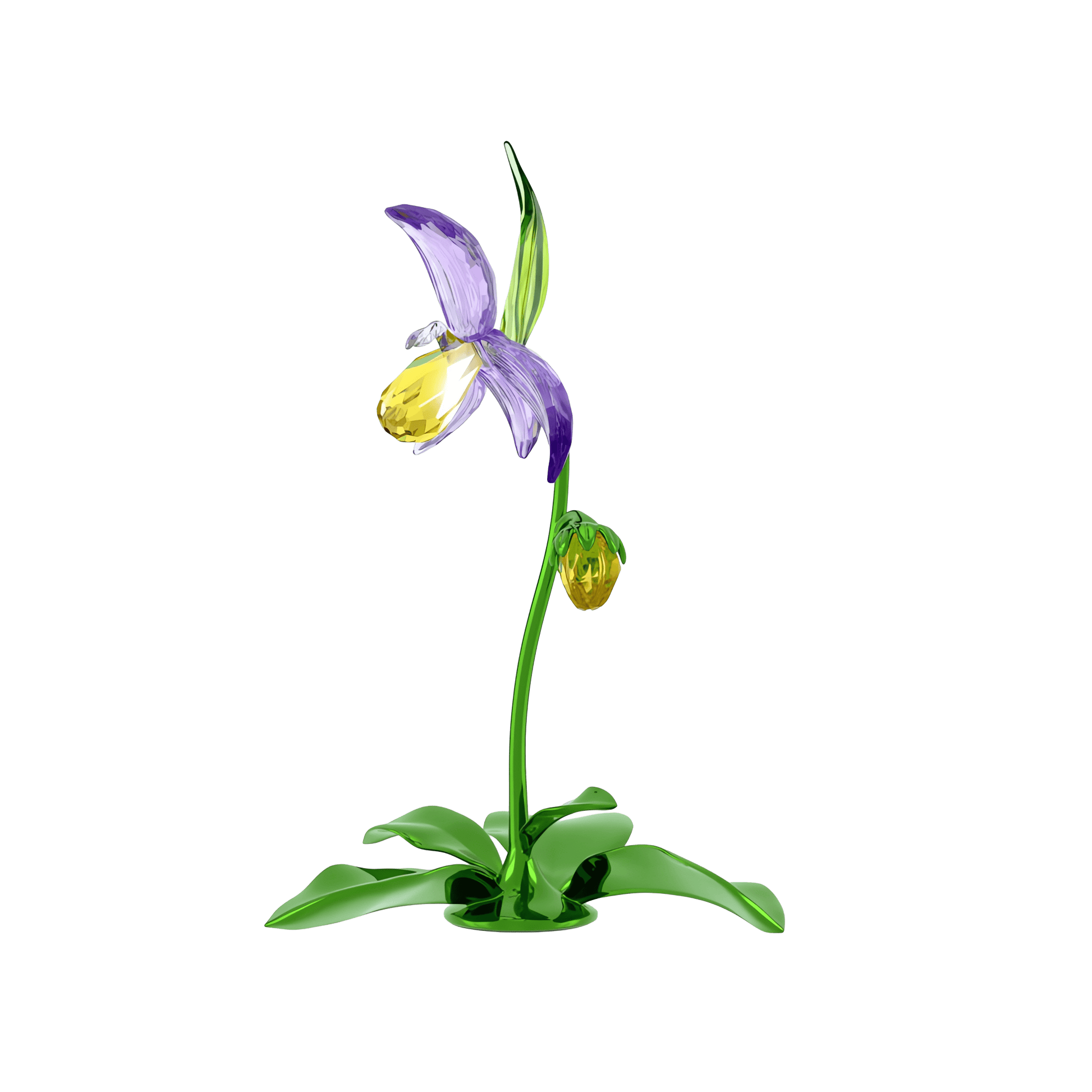 Florere Lady Slipper Orchid