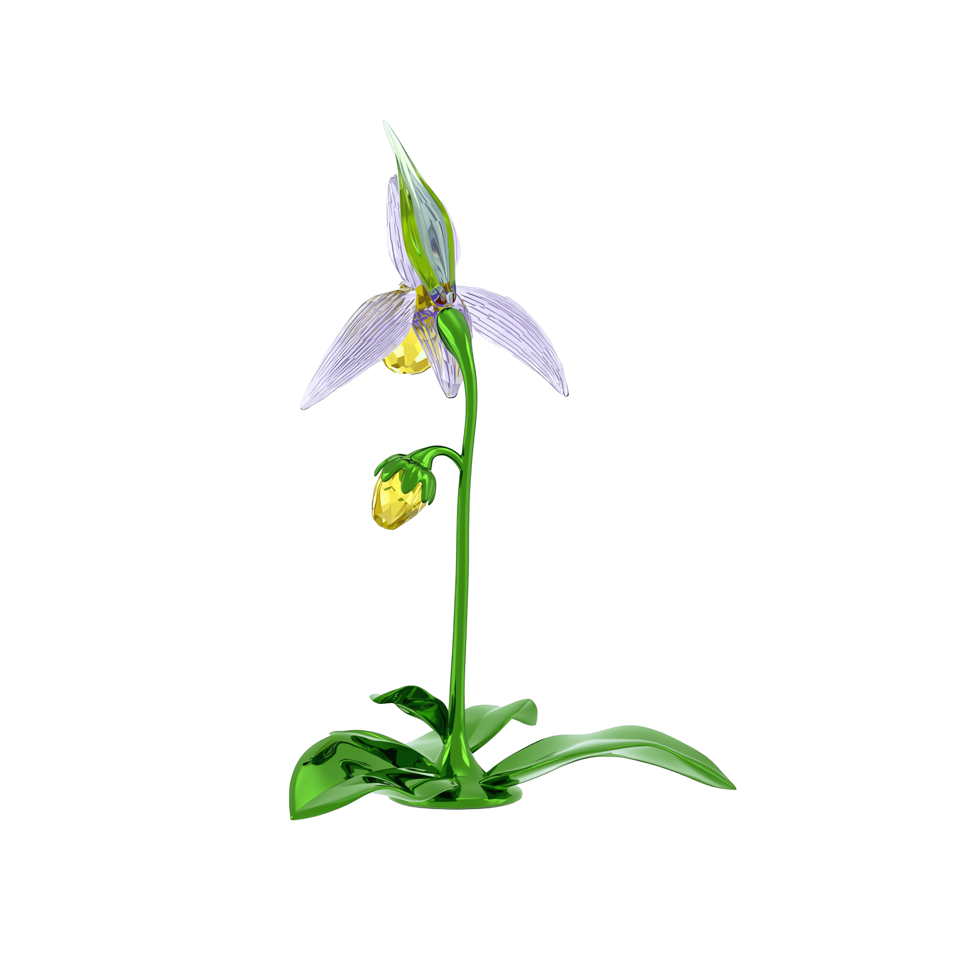 Florere Lady Slipper Orchid