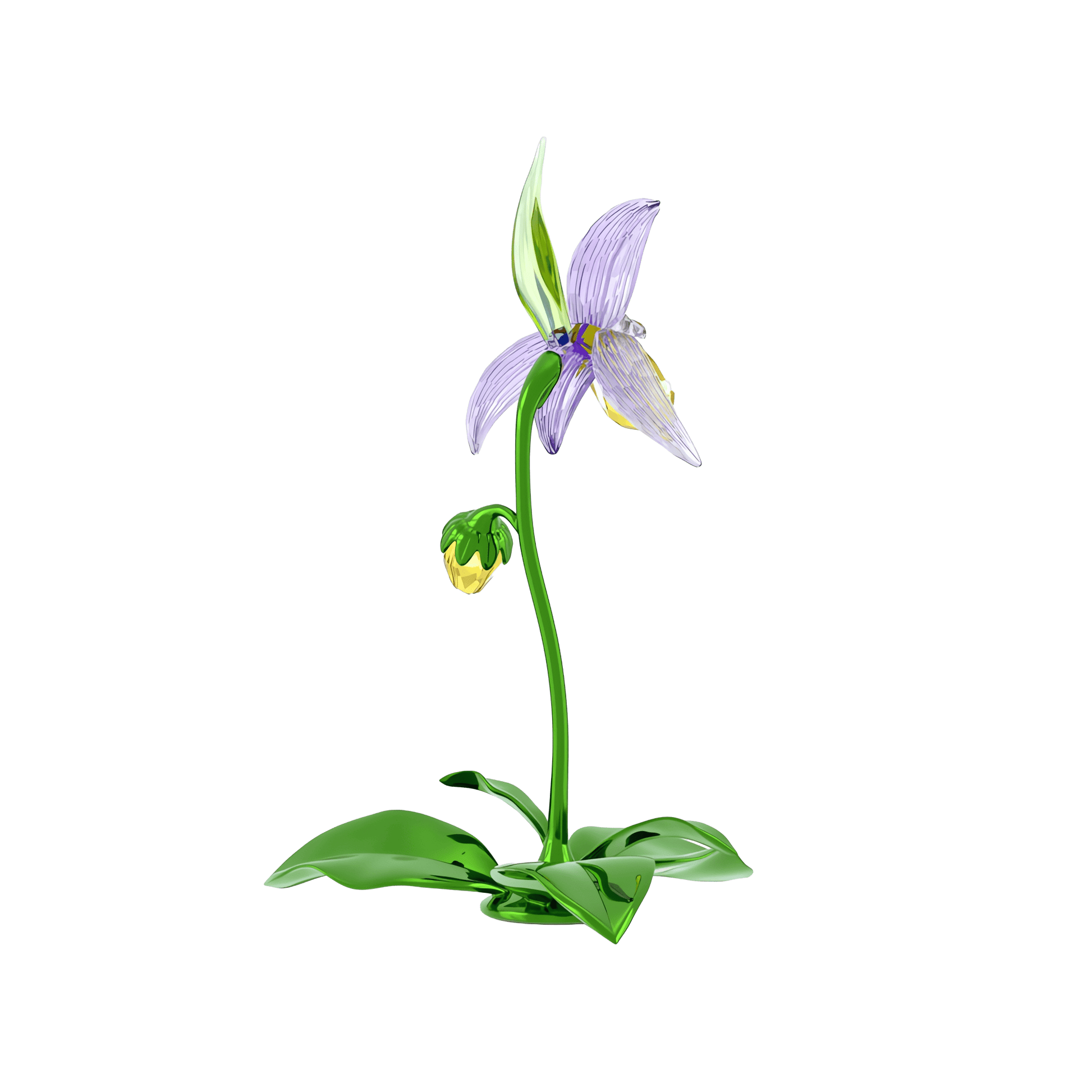 Florere Lady Slipper Orchid